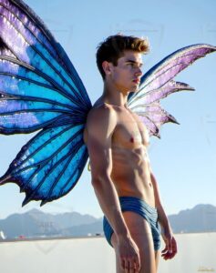 Fairies Art – 4×5 #0217