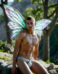 Fairies Art – 4×5 #0247