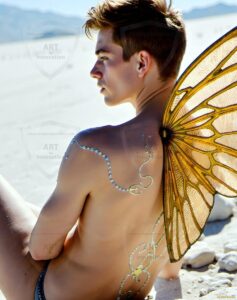 Fairies Art – 4×5 #0307