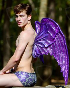 Fairies Art – 4×5 #0420