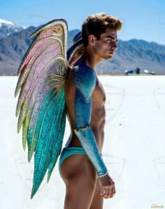 Fairies Art – 4×5 #0444