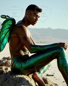 Fairies Art – 4×5 #0483