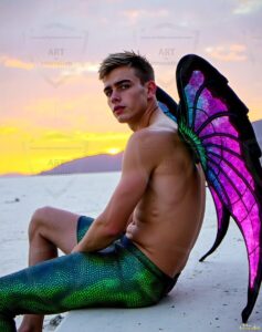Fairies Art – 4×5 #0532