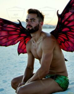 Fairies Art – 4×5 #0628